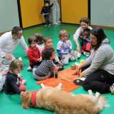 La pet education negli asili